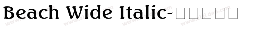 Beach Wide Italic字体转换